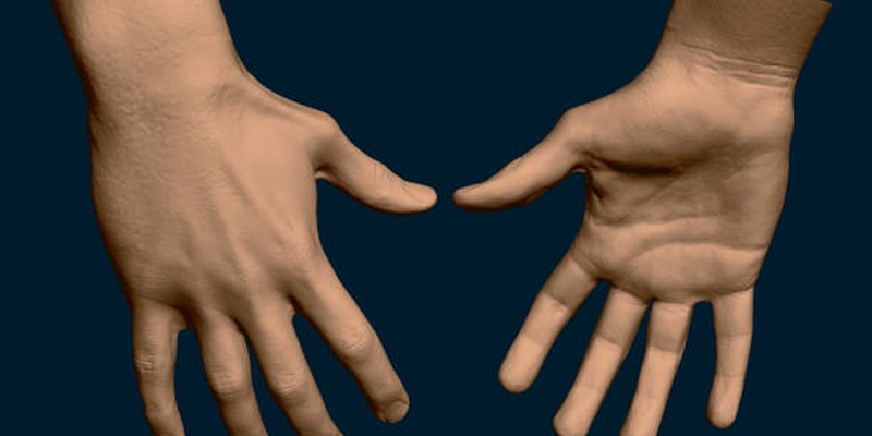 What Michelangelo’s Hands Reveal—and Conceal—About Arthritis