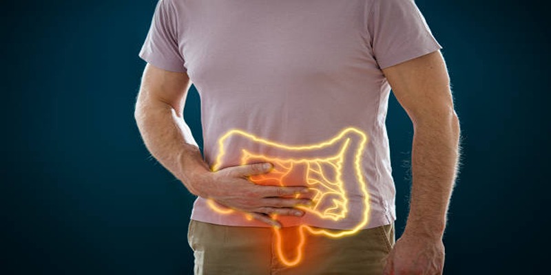 How Gut Microbes Influence Your Heart's Well-Being